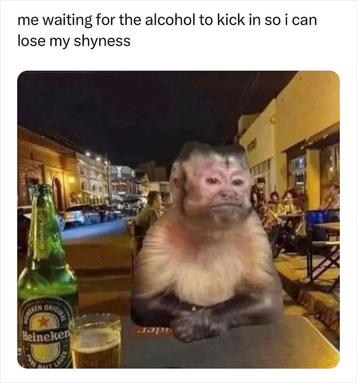 relatable memes - Meme - me waiting for the alcohol to kick in so i can lose my shyness Heineken Original Heineken Meineken Purt Lager Pa 14