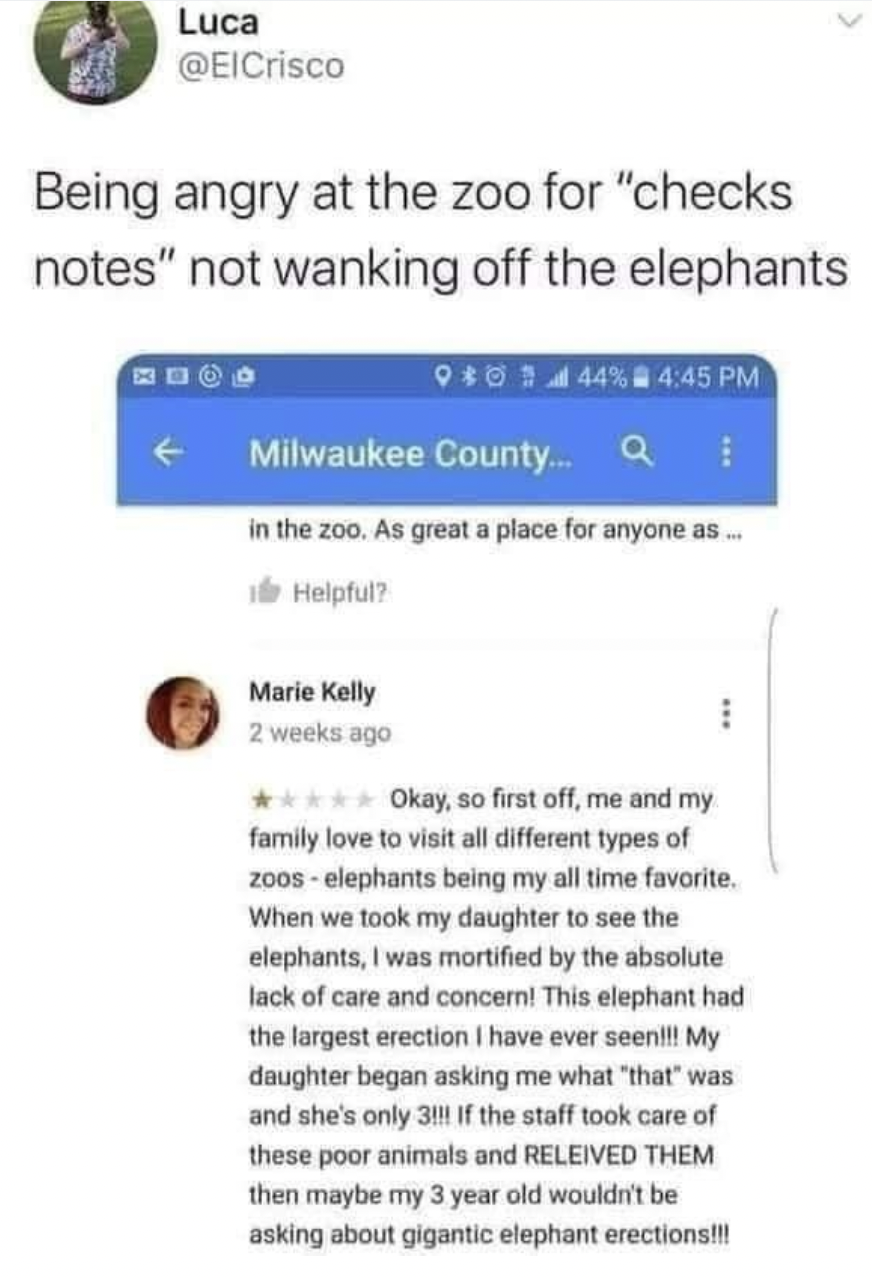 facepalms and fails - Zoo - Luca Being angry at the zoo for "checks notes" not wanking off the elephants 940444% Milwaukee County.... in the zoo. As great a place for anyone as.. Helpful? Marie Kelly 2 weeks ago > Okay, so first off, me and my family love