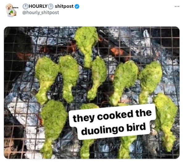 funny tweets - duolingo bird on the grill meme - Hourly shitpost they cooked the duolingo bird ...