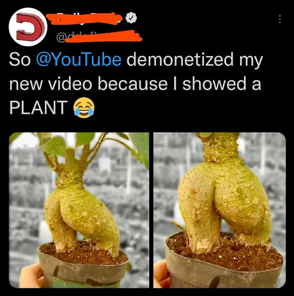 funny tweets - 6 So demonetized my new video because I showed a Plant