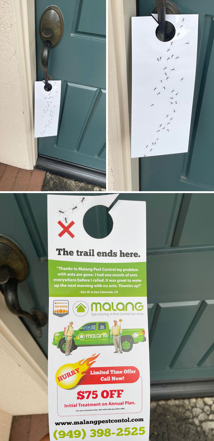 companies using scummy tactics - table - The trail ends here. "Thanks to Malang Pest Control my problem with ants are gone. I had one month of ants everywhere before I called. It was great to wake up the next morning with no ants. Thumbs up!" Kim W. in Sa