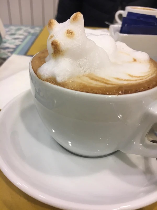fascinating photos - cappuccino