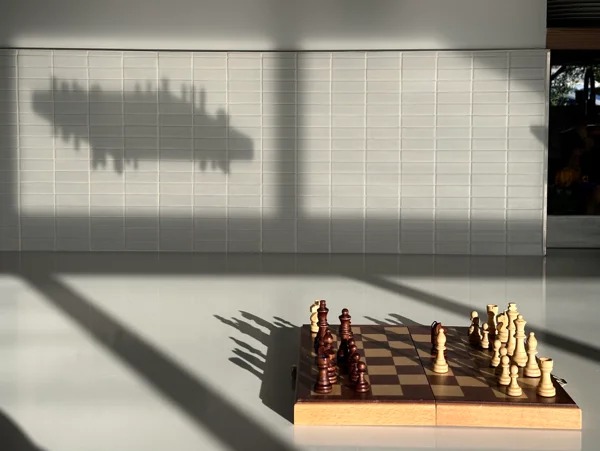 fascinating photos - chess