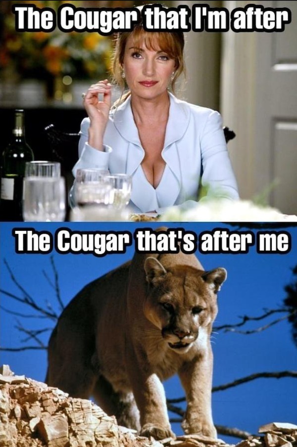 sex memes and spicy pics -  rocky mountain mountain lion - The Cougar that I'm after The Cougar that's after me