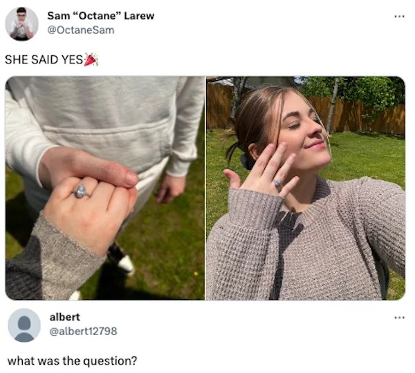 funny internet comments and replies - Twitter - Sam "Octane" Larew She Said Yes albert what was the question?