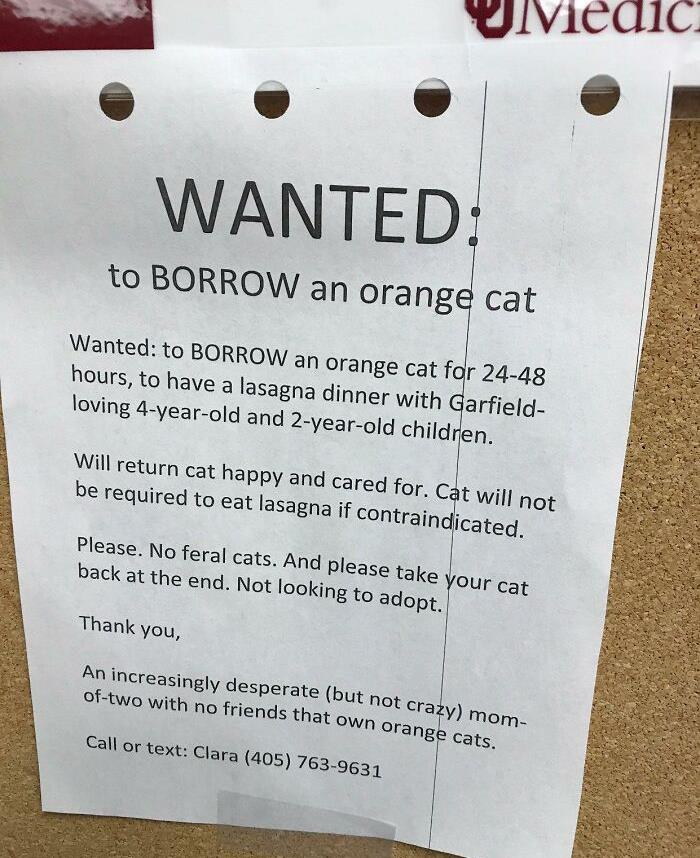 in 2018 a mom put out an ad to borrow an orange cat so her kids could have "a lasagna dinner with Garfield" and succeeded.