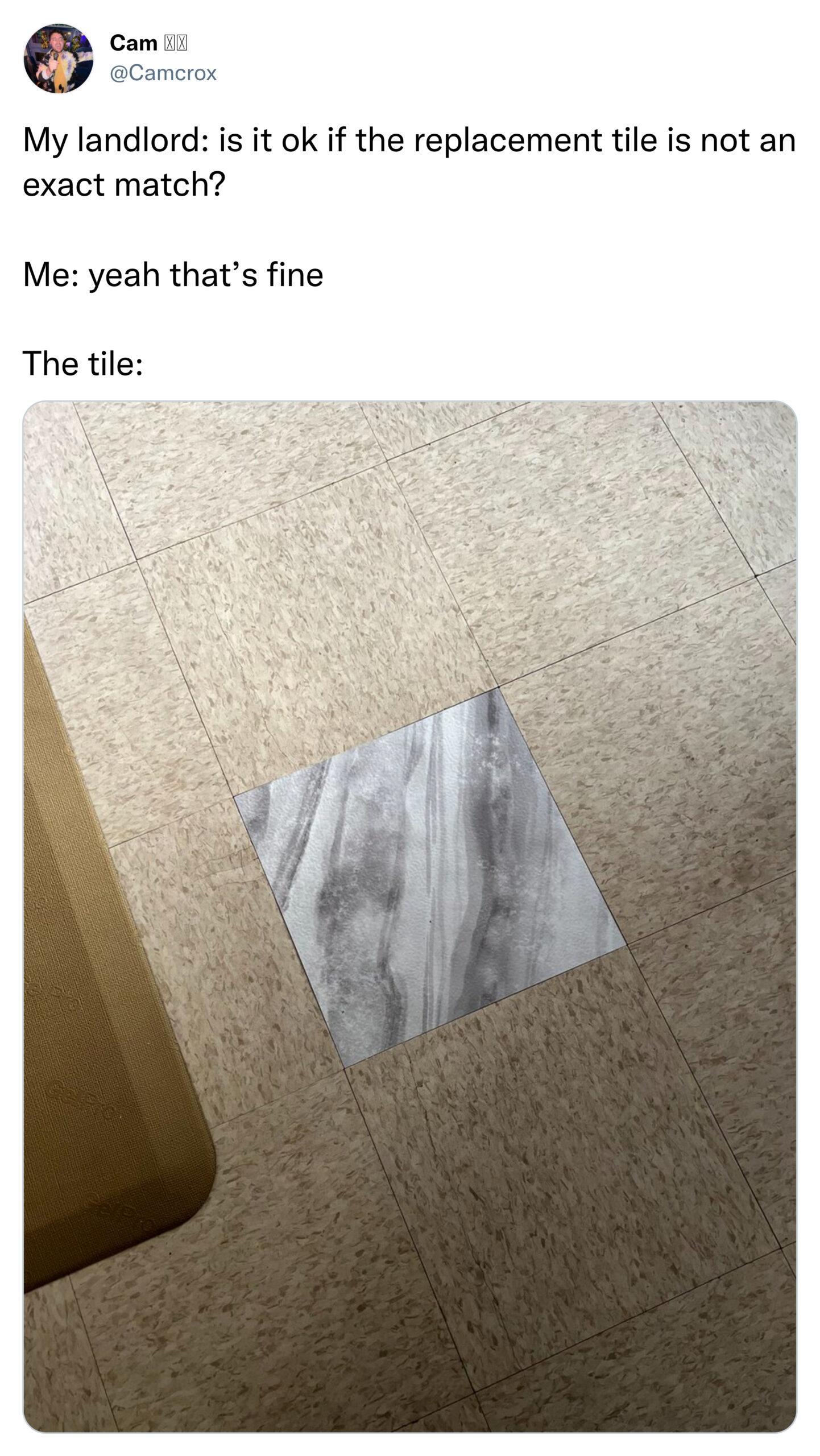 infuriating landlords - r technicallythetruth - Cam My landlord is it ok if the replacement tile is not an exact match? Me yeah that's fine The tile Ga