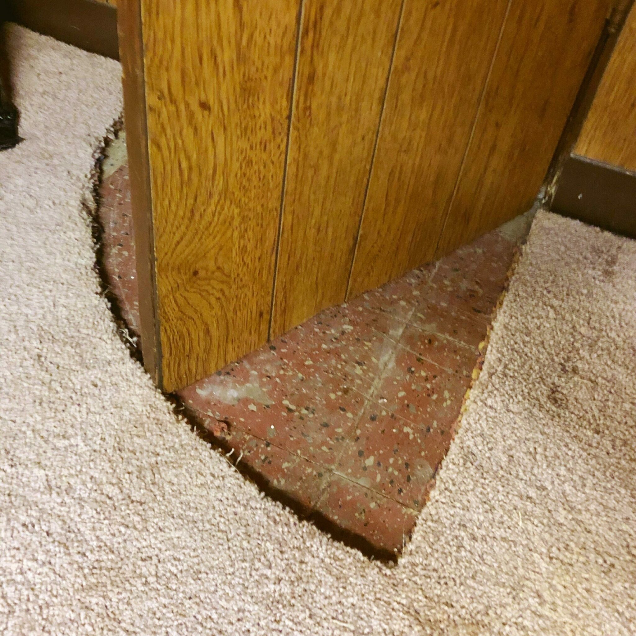 infuriating landlords - carpet cut