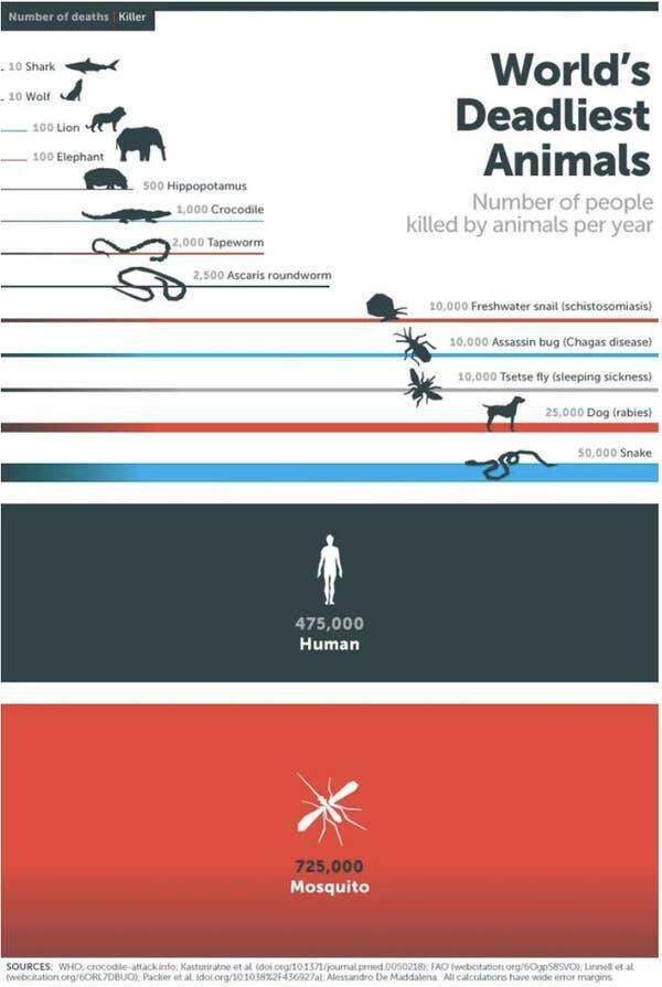 interesting infographics and charts -  mosquito deaths - Number of deaths Killer 10 Shark 10 Wolf 100 Lion 100 Elephant 500 Hippopotamus 1,000 Crocodile 2,000 Tapeworm 2,500 Ascaris roundworm 475,000 Human 725,000 Mosquito World's Deadliest Animals Number