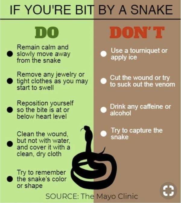 interesting infographics and charts -  If You'Re Bit By A Snake Do Remain calm and slowly move away from the snake Remove any jewelry or tight clothes as you may start to swell Reposition yourself so the bite is at or below heart level Clean the wound, bu