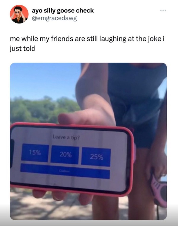 funny tweets - Internet meme - ayo silly goose check me while my friends are still laughing at the joke i just told 15% Leave a tip? 20% 25% ... A