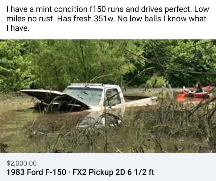 wtf craigslist and facebook posts - plant community - I have a mint condition f150 runs and drives perfect. Low miles no rust. Has fresh 351w. No low balls I know what have. $2,000.00 1983 Ford F150 FX2 Pickup 2D 6 12 ft .