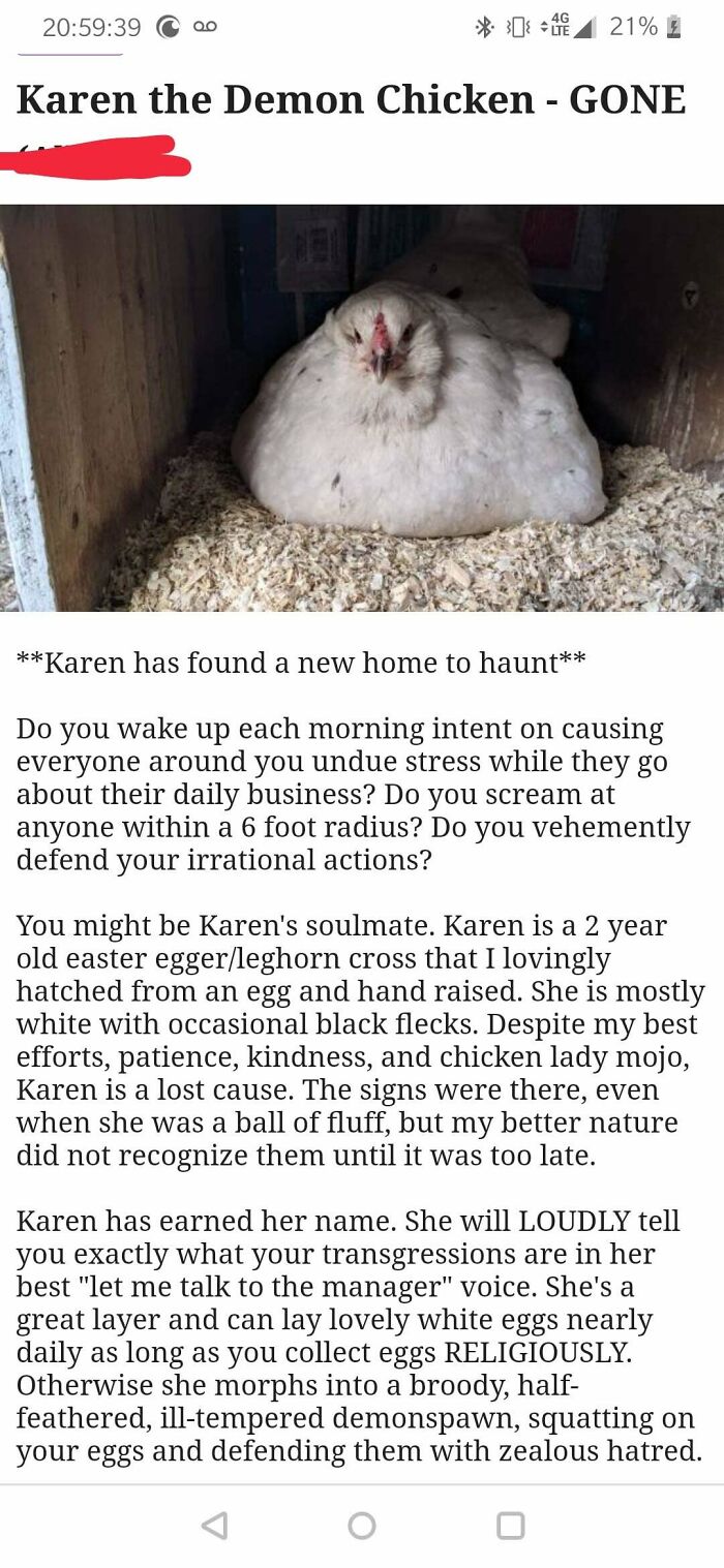 wtf craigslist and facebook posts - fauna - 39 0.0 4G 21% Karen the Demon Chicken Gone Karen has found a new home to haunt Do you wake up each morning intent on causing everyone around you undue stress while they go about their daily business? Do you scre