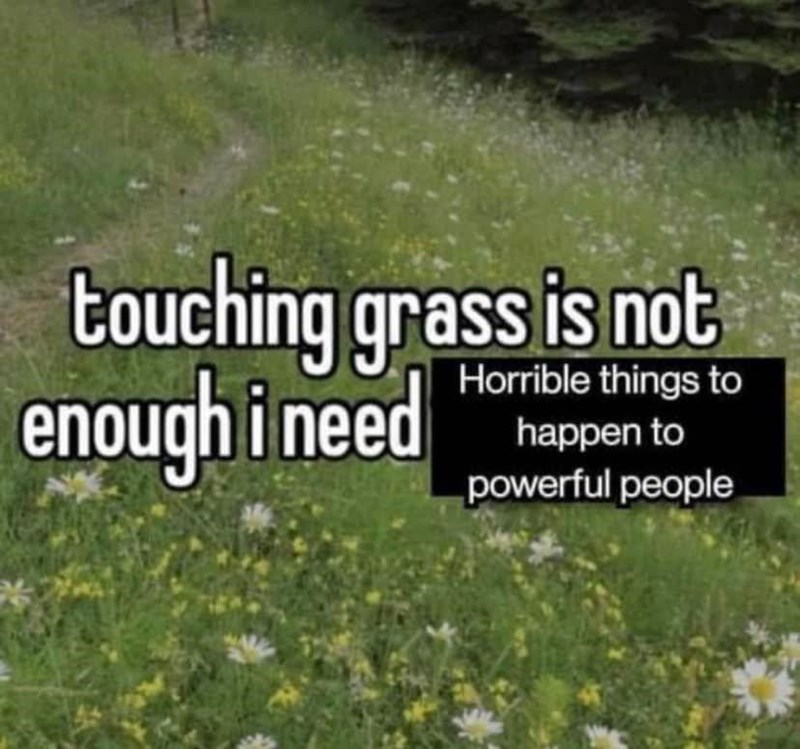 funny memes dank pics - touching grass is not enough i need head - touching grass is not enough i need Horrible things to happen to powerful people