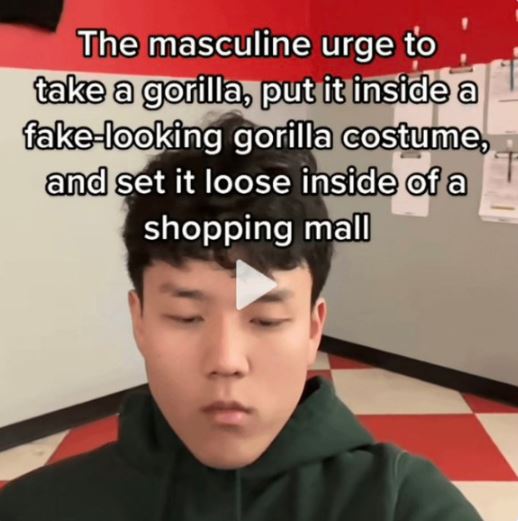 wild tiktok screenshots - just in no one gives - The masculine urge to take a gorilla, put it inside a fakelooking gorilla costume, and set it loose inside of a shopping mall