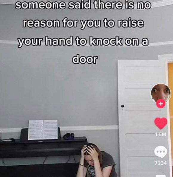 wild tiktok screenshots - presentation - someone said there is no reason for you to raise your hand to knock on a door 1.5M 7234