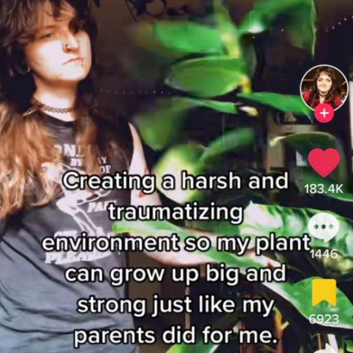 wild tiktok screenshots - photo caption - Nl Creating a harsh and traumatizing environment so my plant, can grow up big and strong just my parents did for me. 1446 6923