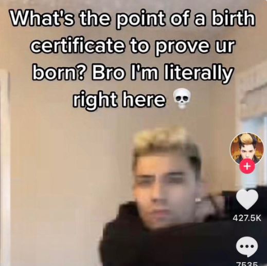 wild tiktok screenshots - broken humor memes - What's the point of a birth certificate to prove ur born? Bro I'm literally right here.. 7535