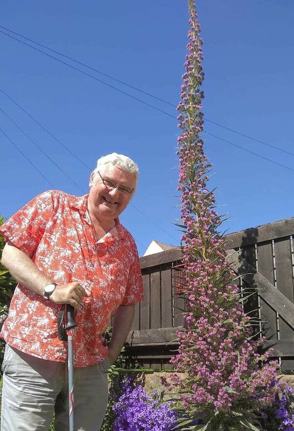 “Here’s My Echium Pink Fountain. It’s About 2.5m Tall And Still Growing. Me For Size Comparison”