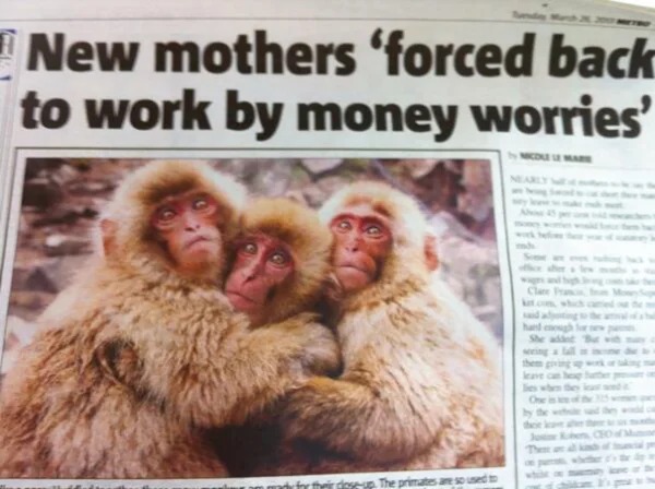 20 Newspapers Full Of WTF.