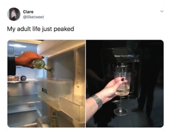 unethical life hacks - funny where do you see yourself in 10 years - Clare My adult life just peaked