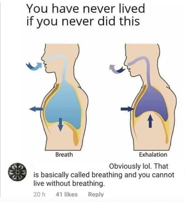 people who missed the joke - - inhalation and exhalation unlabelled diagram - You have never lived if you never did this Breath Exhalation Obviously lol. That is basically called breathing and you cannot live without breathing. 20 h 41