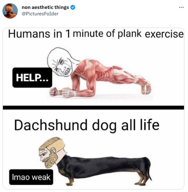tweets and memes - arm - non aesthetic things Humans in 1 minute of plank exercise Help... Dachshund dog all life Imao weak ww.