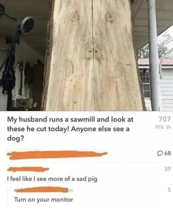 cursed comments - looks more like a sad pig - My husband runs a sawmill and look at these he cut today! Anyone else see a dog? I feel I see more of a sad pig Turn on your monitor 707 97% 2h 68 39 5