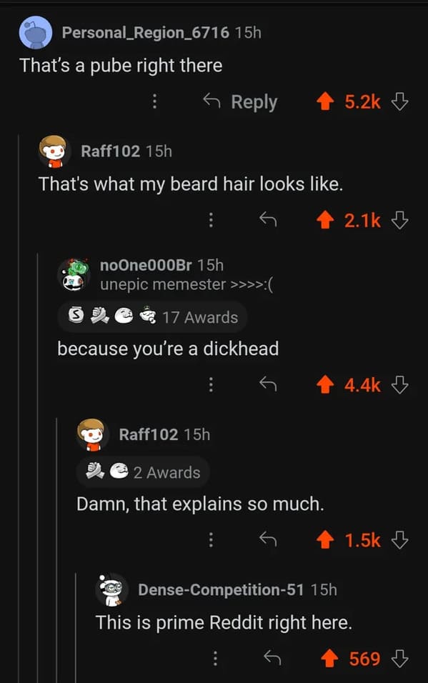 cursed comments - screenshot - Personal_Region_6716 15h That's a pube right there Raff102 15h That's what my beard hair looks . S noOne000Br 15h unepic memester >>>> 17 Awards because you're a dickhead Raff102 15h 2 Awards Damn, that explains so much. Den