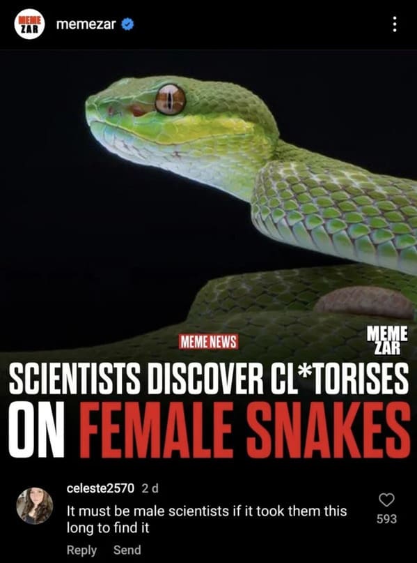 cursed comments - snake's clitoris - Meme memezar Zar Meme Zar Meme News Scientists Discover ClTorises On Female Snakes celeste2570 2d It must be male scientists if it took them this long to find it Send 593