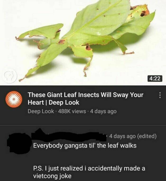 cursed comments - malaysian walking stick insect - These Giant Leaf Insects Will Sway Your Heart | Deep Look Deep Look views 4 days ago 4 days ago edited Everybody gangsta til' the leaf walks P.S. I just realized i accidentally made a vietcong joke