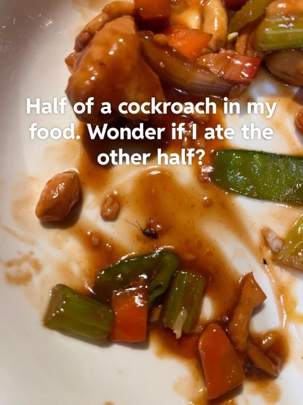 people having a bad day - dish - Half of a cockroach in my food. Wonder if I ate the other half?