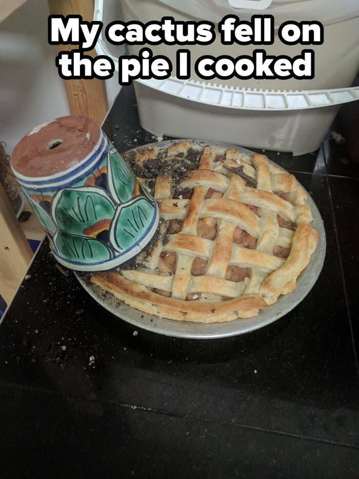 people having a bad day - baked goods - My cactus fell on the pie I cooked V11