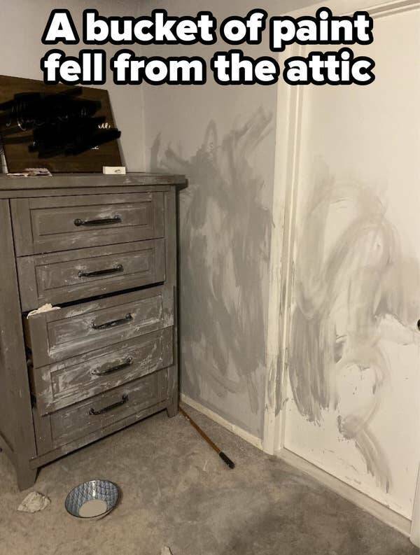 people having a bad day - room - A bucket of paint fell from the attic
