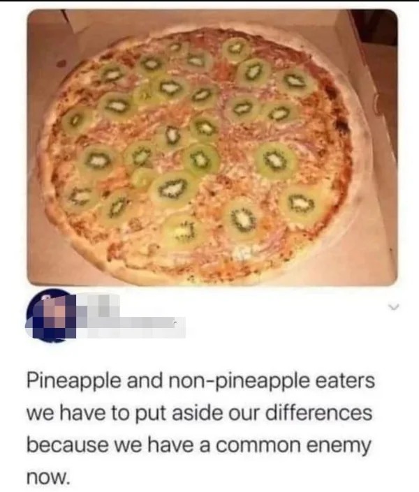 wtf memes and pics - pineapple and non pineapple pizza eaters - Pineapple and nonpineapple eaters we have to put aside our differences because we have a common enemy now.