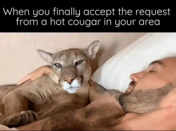 wtf memes and pics - cougar funny - When you finally accept the request from a hot cougar in your area