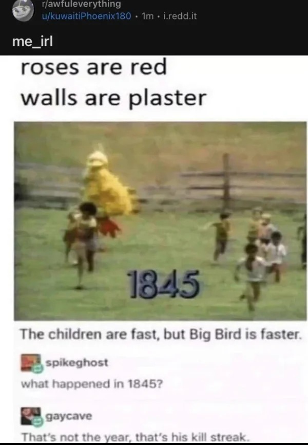 wtf memes and pics - children are fast but big bird - rawfuleverything ukuwaitiPhoenix180. 1m. i.redd.it me_irl roses are red walls are plaster 1845 The children are fast, but Big Bird is faster. spikeghost what happened in 1845? gaycave That's not the ye