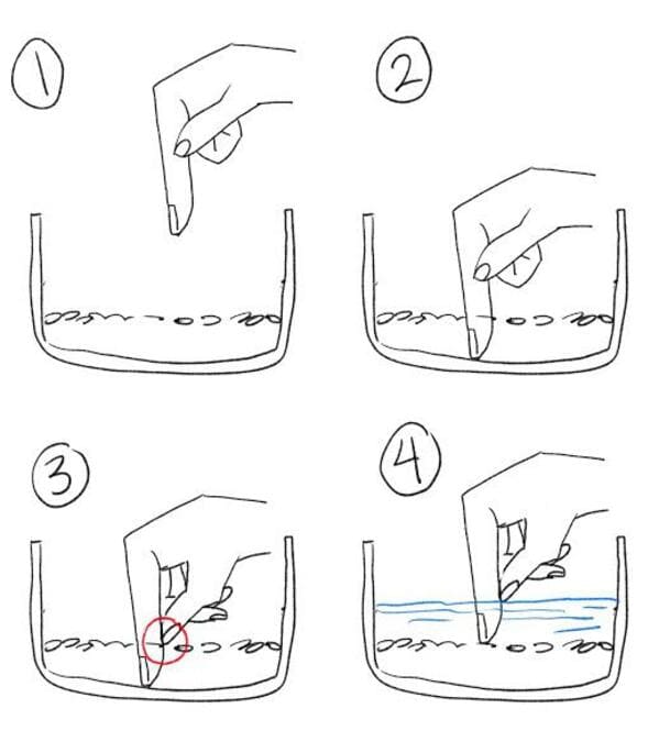 “How To Measure Rice (Asian Style)”