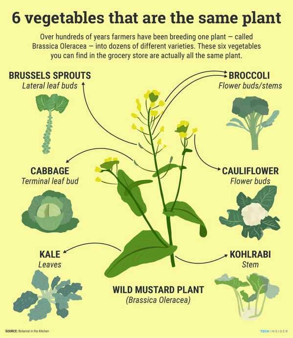 35 Charts That Might Make You Smarter.