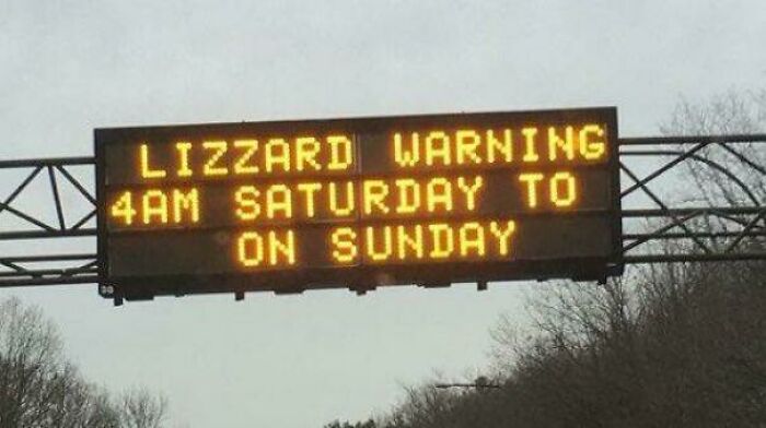 facepalms and fails - lizzard warning - Lizzard Warning 4AM Saturday To On Sunday