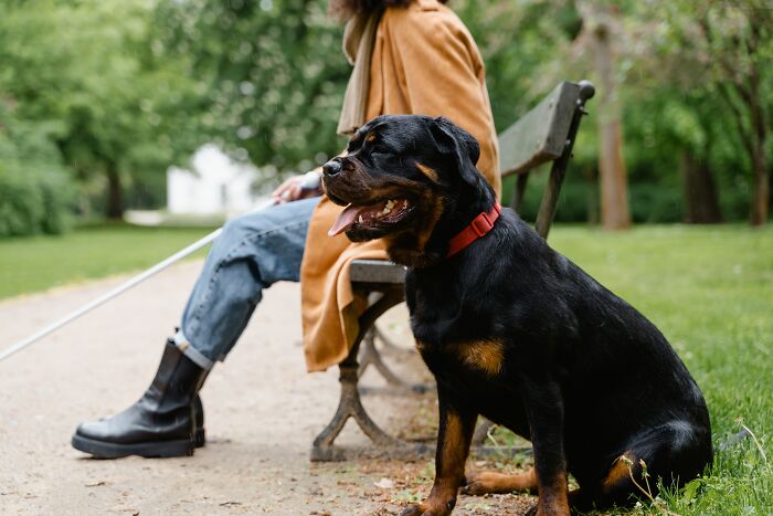 If a service dog comes up to you, follow them. Service dogs will only leave their owners as a last ditch effort for help.