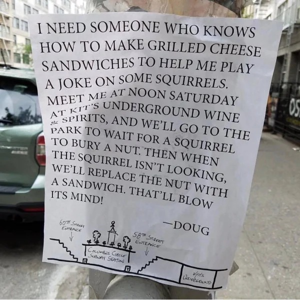 dank memes - sign - I Need Someone Who Knows How To Make Grilled Cheese Sandwiches To Help Me Play A Joke On Some Squirrels. Meet Me At Noon Saturday At Kit'S Underground Wine Spirits, And We'Ll Go To The Park To Wait For A Squirrel To Bury A Nut. Then Wh