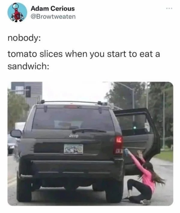 dank memes - Funny meme - Adam Cerious nobody tomato slices when you start to eat a sandwich Jeep D www