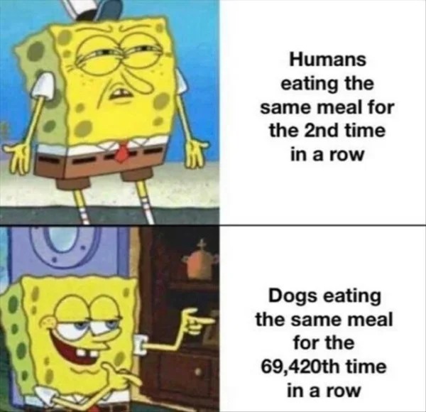 dank memes - dogs eating the same food everyday meme - Humans eating the same meal for the 2nd time in a row Dogs eating the same meal for the 69,420th time in a row