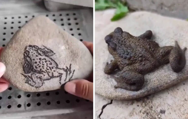 "This Rock Was Carved Into A Hyper-Realistic Frog"