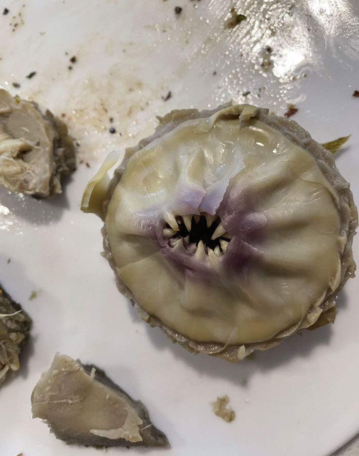 An Artichoke I Was Eating Had Teeth Of Its Own