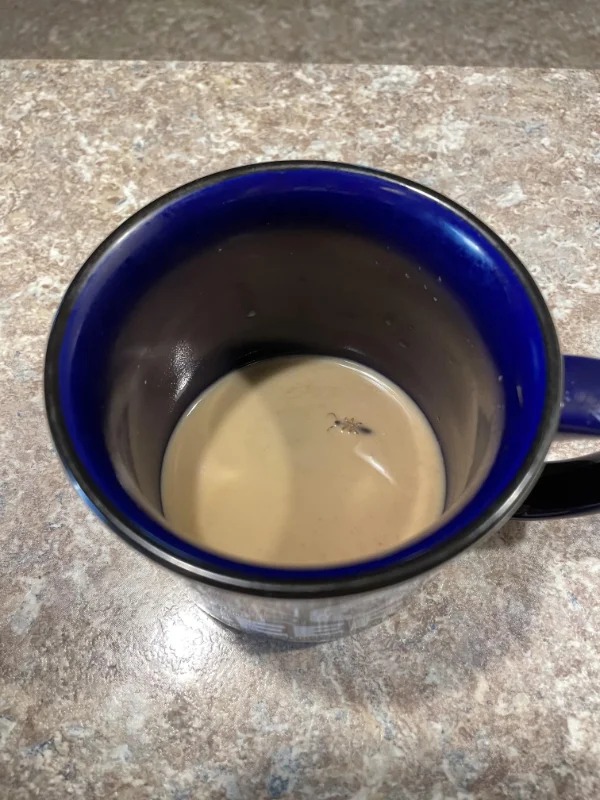 “Was enjoying a cup of coffee until..”
