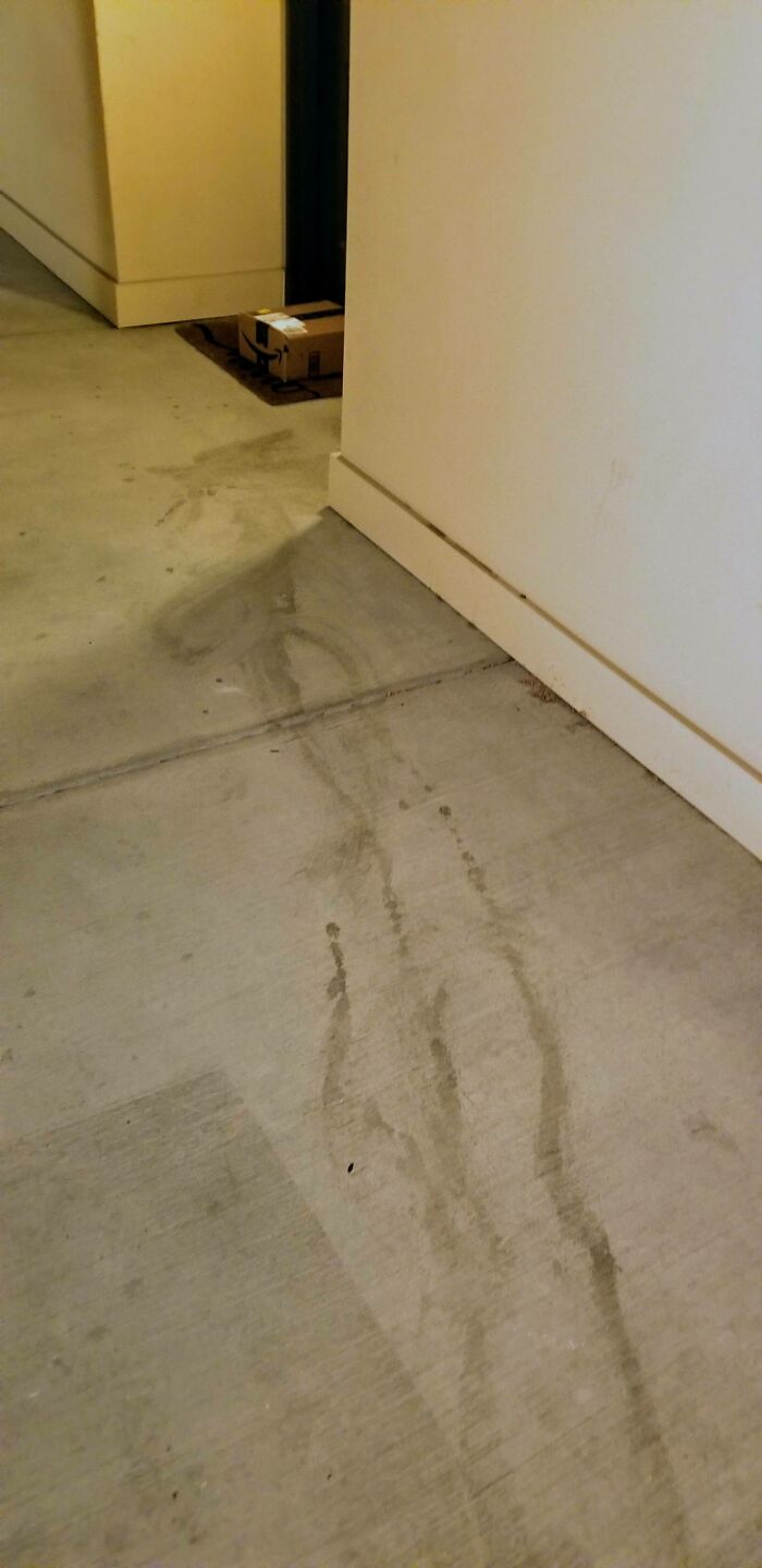 Our Neighbors Drag Their Trash Bags Out Their Front Door And Down Our Communal Hallway/Stairway, Creating A Literal Trash Juice Trail