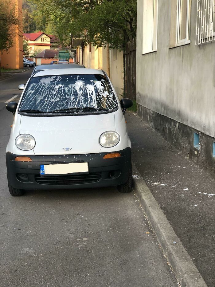 My Neighbour Melted Down And Attacked A Stationed Car, Javelin-Style. Car Was Parked In Day Hours, So No Night Revs Or Stuff. Classy Romania, 2022