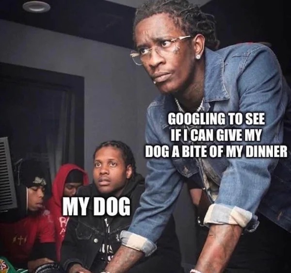 relatable memes - googling to see if i can give my dog a bite of my dinner - 0 My Dog P Googling To See If I Can Give My Dog A Bite Of My Dinner